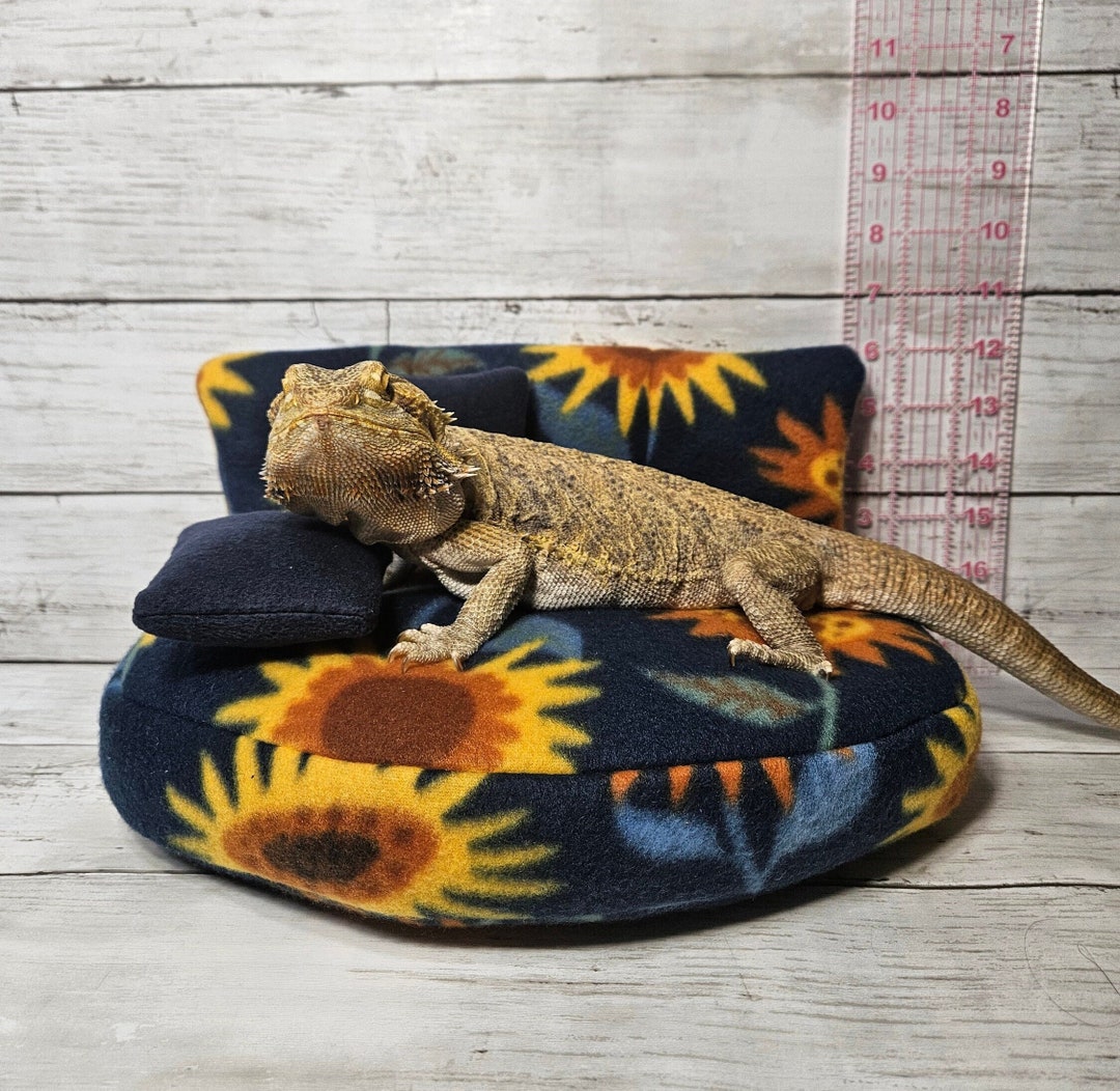 Bearded Dragon Couch Bearded Dragon Bed Bearded Dragon Giant Sofa Chair