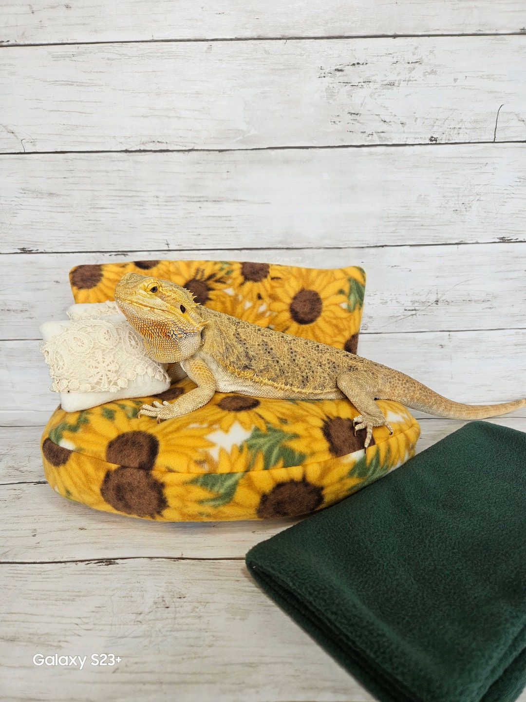 Bearded Dragon Couch Bearded Dragon Bed Bearded Dragon Giant Sofa Chair