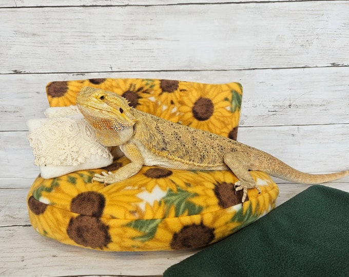 Bearded Dragon Couch Bearded Dragon Bed Bearded Dragon Giant Sofa Chair
