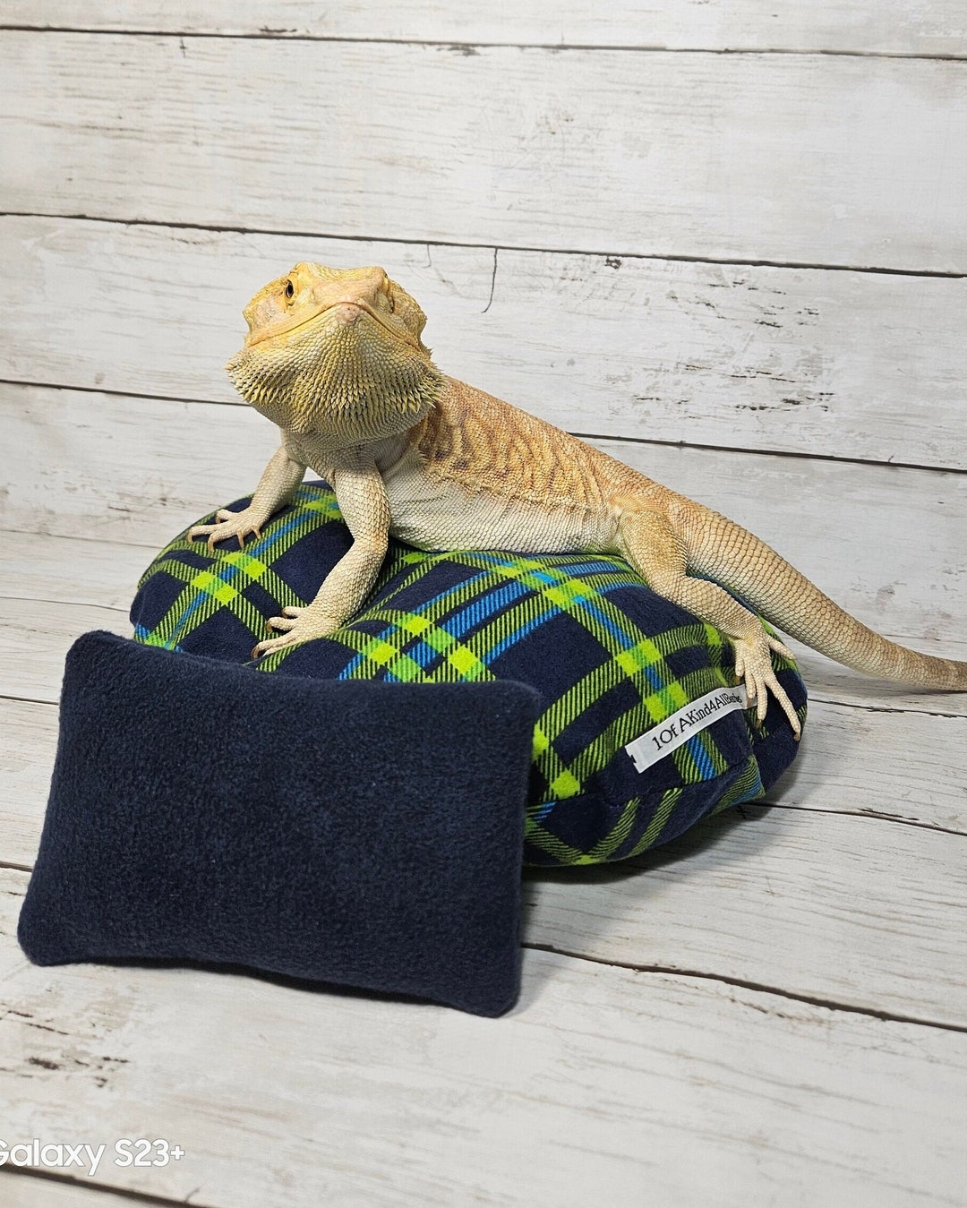 Bearded Dragon Large Bean Bag Bearded Dragon Bed Etsy