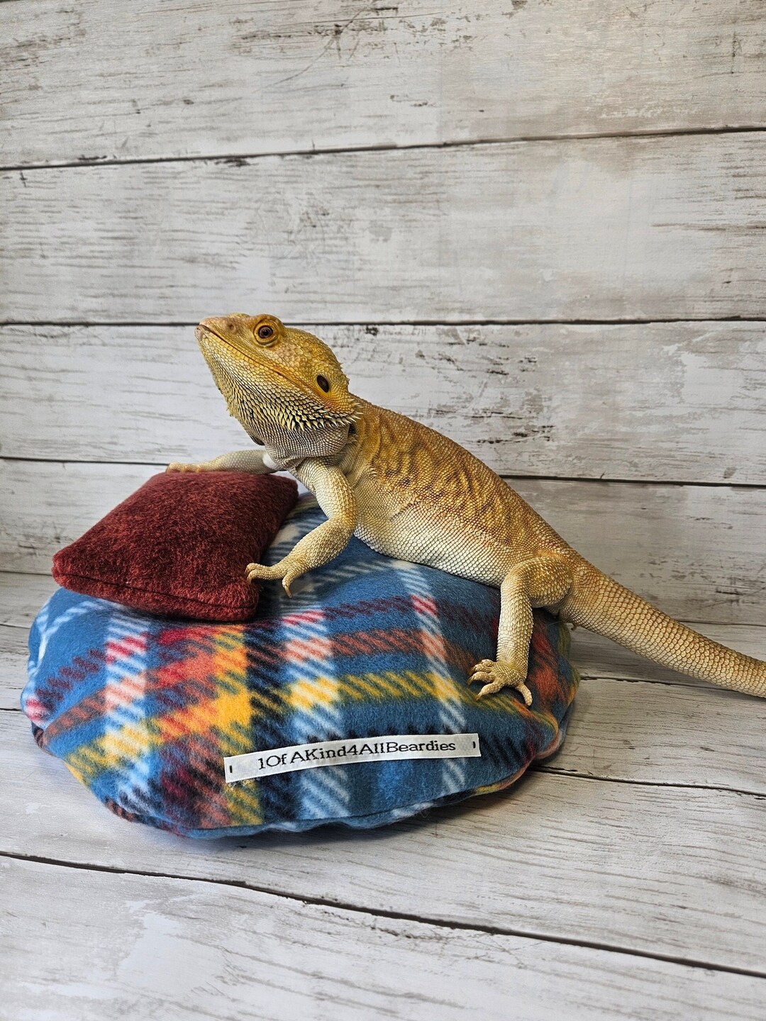 Bearded Dragon Bean Bag LARGE Bearded Dragon Bed bed is Similar to a