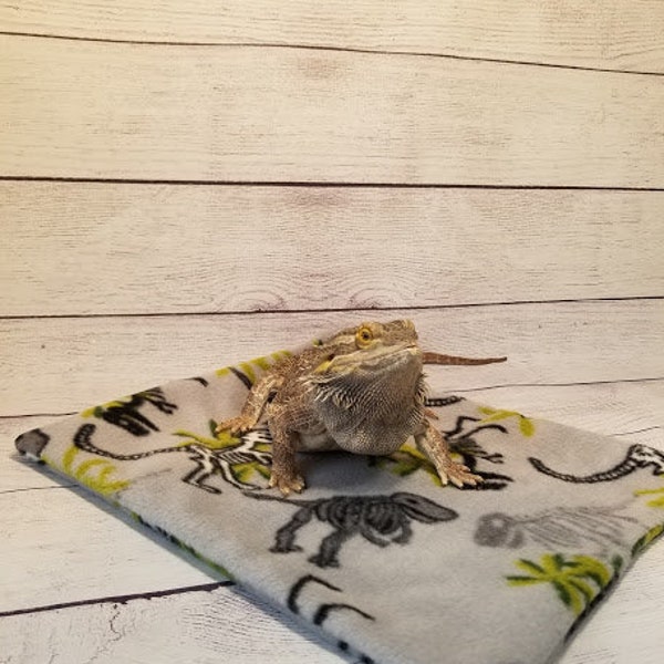 Bearded Dragon Blanket