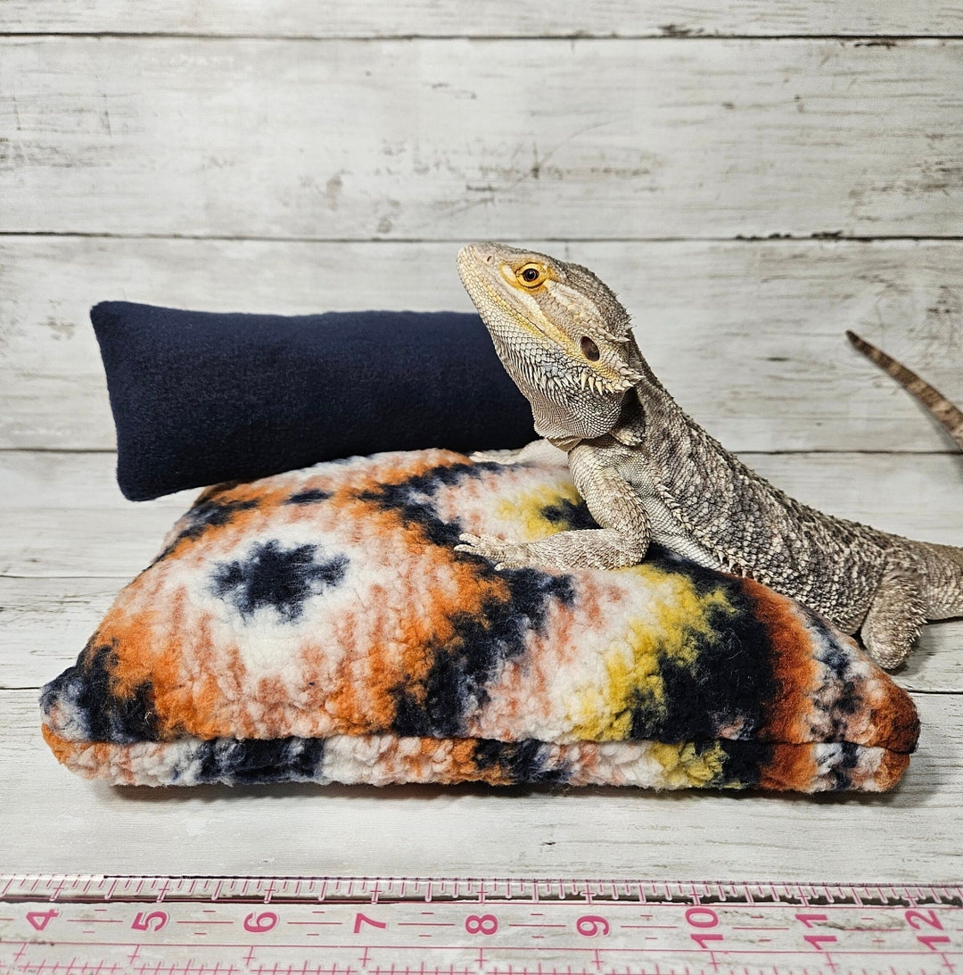 Bearded Dragon Bed Bearded Dragon Accessories Bearded Dragon Couch Etsy