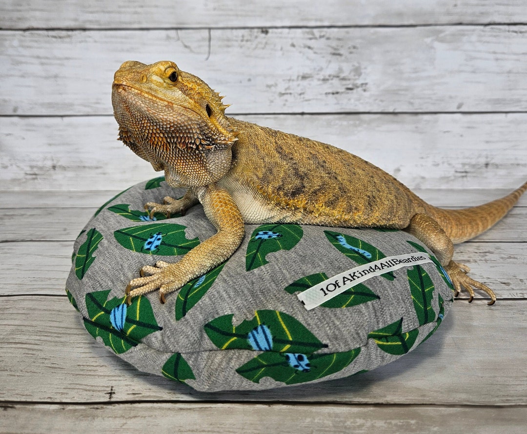 Bearded Dragon Bed Bearded Dragon Bean Bag bed is Similar to a Bean Bag