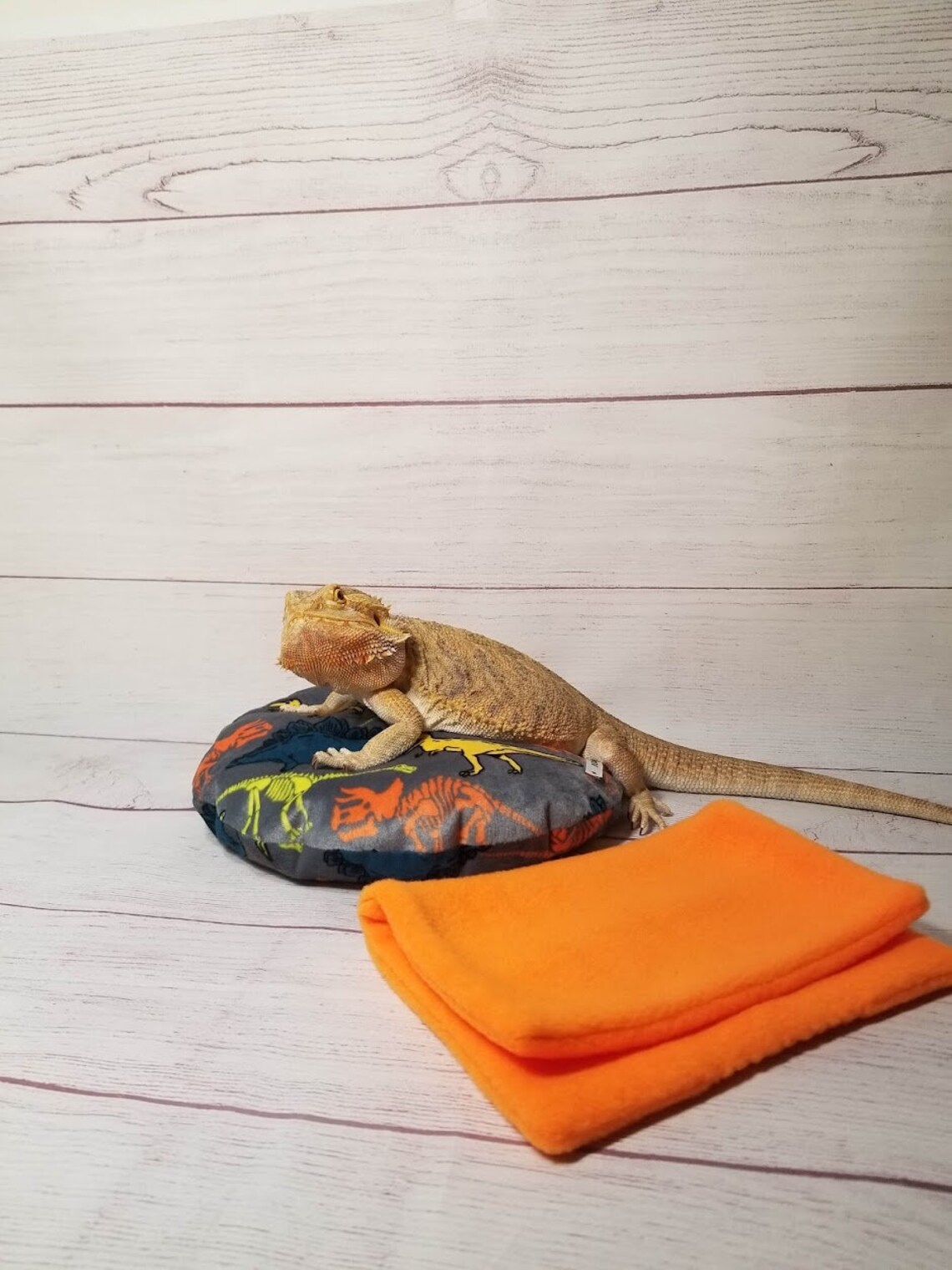 Bearded Dragon Bed bed is a Bean Bag With Blanket Etsy