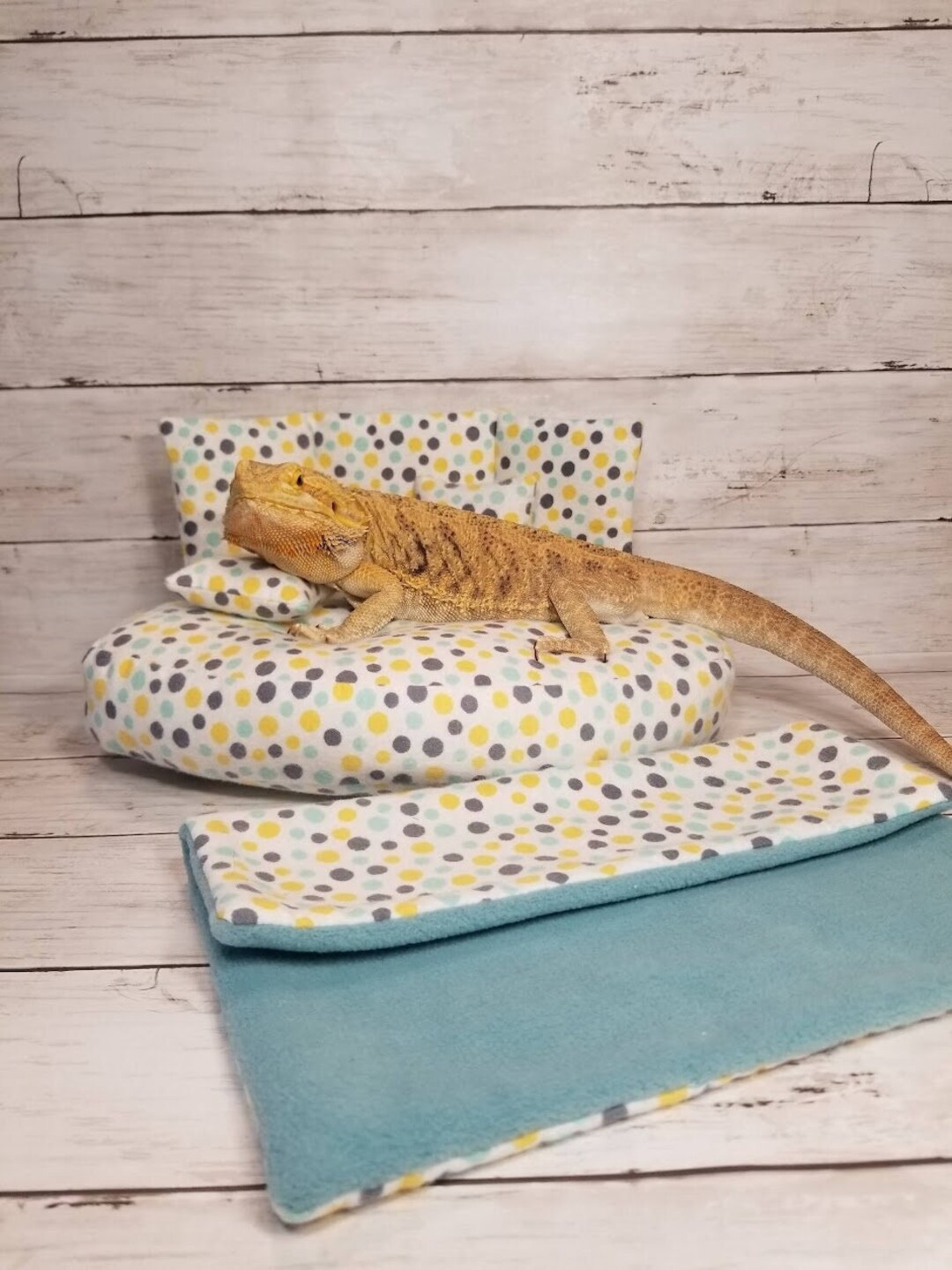 Bearded Dragon Bed Bearded Dragon Couch Bearded Dragon Giant Etsy