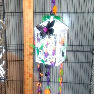 Sugar Glider Halloween fun cage lantern, lots of charms, sugar glider, flying squirrel, finger monkey, any small species, All animal safe,