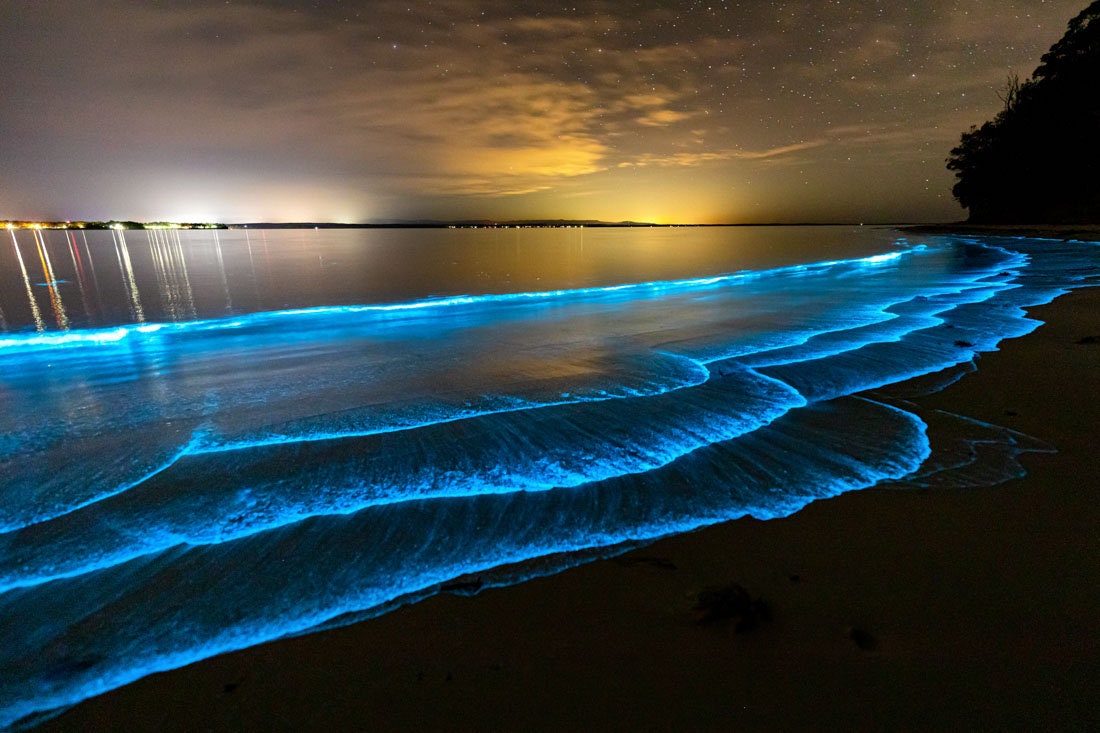 Biolumineszenz Fotodruck Ozean Kunstdruck Biolumineszierende Algen - Etsy.de