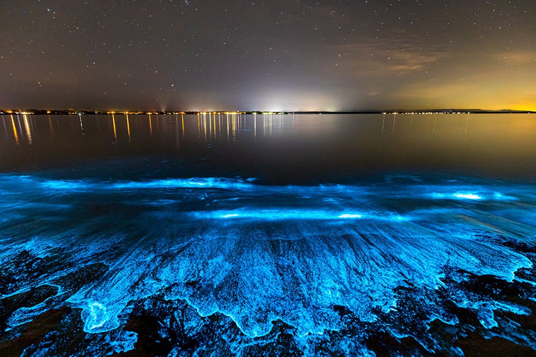 Sea Sparkle Bioluminescence Photo Print Ocean Art Print Bioluminescent  Algae 