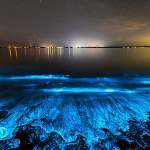 Sea Sparkle Bioluminescence Photo Print | Ocean Art Print | Bioluminescent Algae