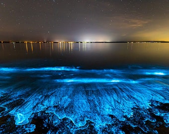 Bioluminescence Photo Print | Ocean Art Print | Bioluminescent Algae - Etsy