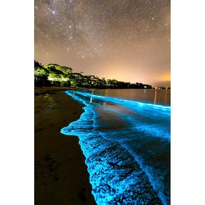 Electric Blue Bioluminescence Vertical Photo Print | Ocean Art Print | Bioluminescent Algae
