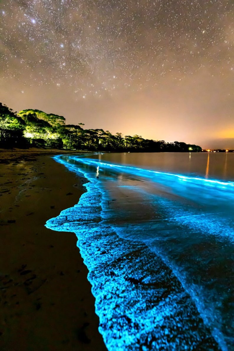 Electric Blue Bioluminescence Vertical Photo Print Ocean Art Print Bioluminescent Algae image 1
