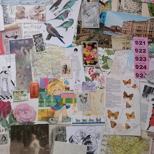 以下が含まれることがあります： 植物図、地図、ファッションスケッチなど、ヴィンテージの逸品を集めたコラージュ。印刷物や芸術的要素に焦点を当て、さまざまな色とテクスチャが特徴です。鳥、花、子供の画像が含まれています。