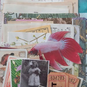 May include: A collection of assorted paper ephemera including vintage book pages, a botanical illustration, a black and white photograph of a child, two orange admission tickets, a postage stamp, and a cutout of a red and white betta fish.