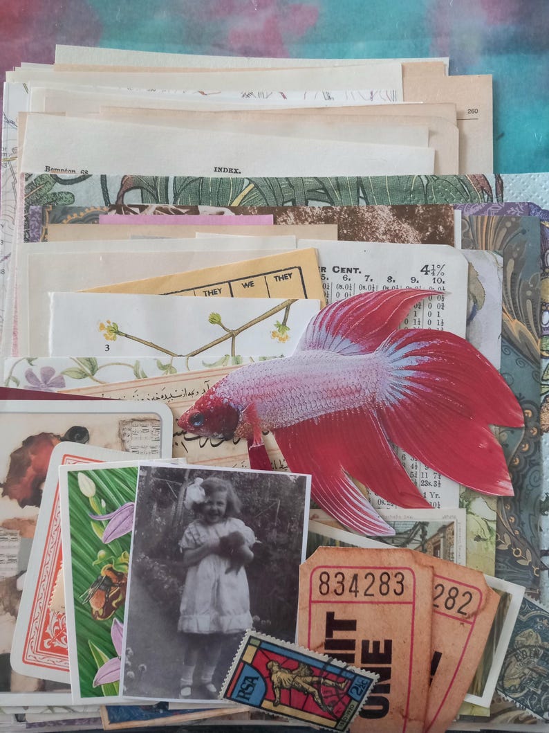 May include: A collection of assorted paper ephemera including vintage book pages, a botanical illustration, a black and white photograph of a child, two orange admission tickets, a postage stamp, and a cutout of a red and white betta fish.