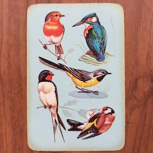 Cartes à jouer oiseaux à fabriquer. Trois cartes à jouer vintage oiseaux britanniques. Fournitures pour travaux manuels. Journal indésirable. Fournitures de scrapbooking.