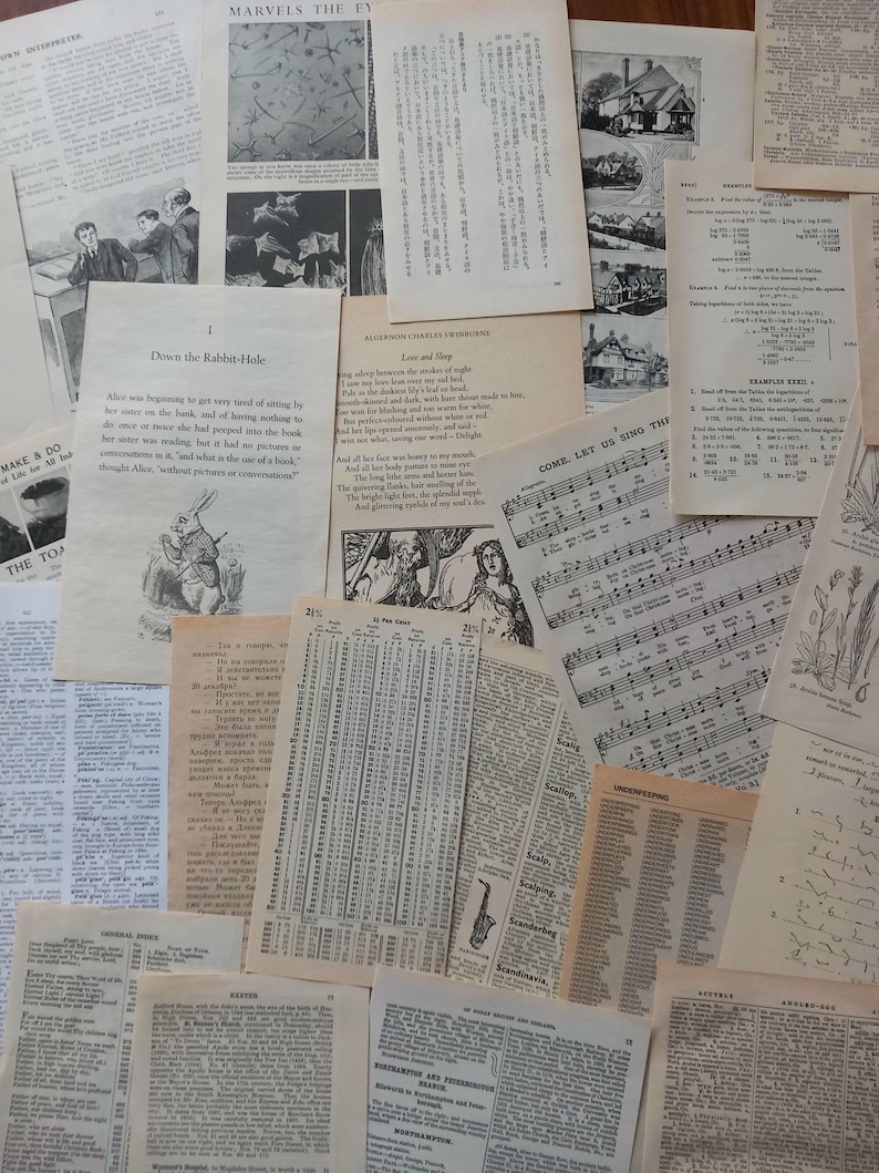 May include: A collection of vintage paper pages featuring diverse printed content including black and white illustrations, musical notation, mathematical tables, dictionary entries, and excerpts from literary works like Alice in Wonderland.