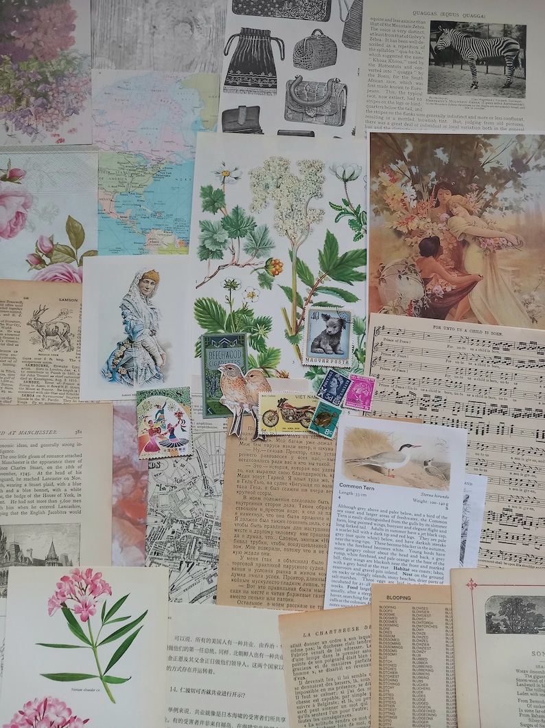 Vintage Paper Ephemera Pack. 75 Piece Mixed Paper Ephemera for Papercrafts. Vintage Book Pages. Crafter Gift. Junk Journal Supplies. image 3