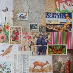May include: A collage of vintage ephemera featuring a floral napkin, postage stamps, a Portsmouth and Southsea postcard, a bird illustration, a Chinese Water Deer print, a playing card back, and historical photographs arranged on a textured surface.