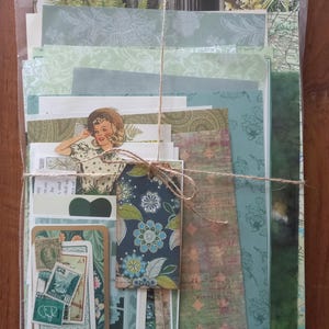 Paquete de efímeros de papel verde. 40 piezas de efímeros. Paquete de papel con temática verde. Verdes para collage. Helechos, follaje, plantas de bosque, hierbas.