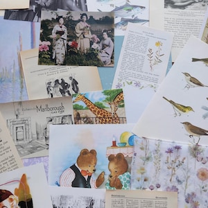 May include: A collection of vintage-style paper ephemera featuring diverse illustrations including geishas in kimonos, various fish species, giraffes, birds, bears in clothing, floral patterns, and black-and-white text excerpts from old books.