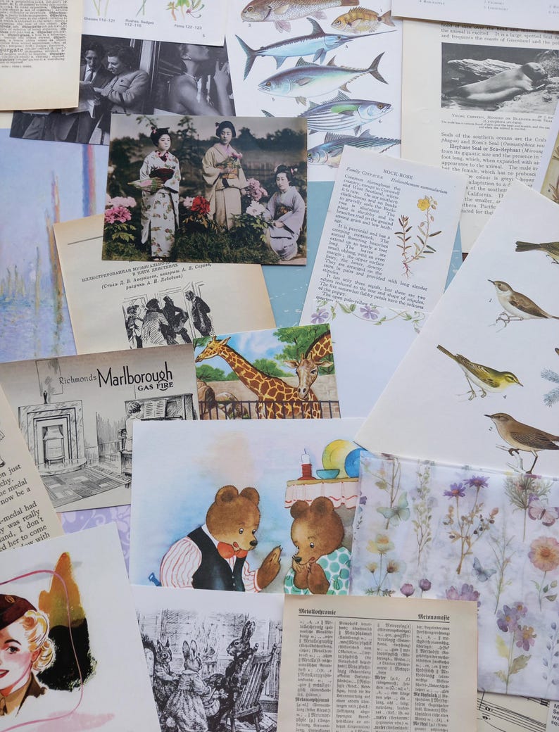 May include: A collection of vintage-style paper ephemera featuring diverse illustrations including geishas in kimonos, various fish species, giraffes, birds, bears in clothing, floral patterns, and black-and-white text excerpts from old books.