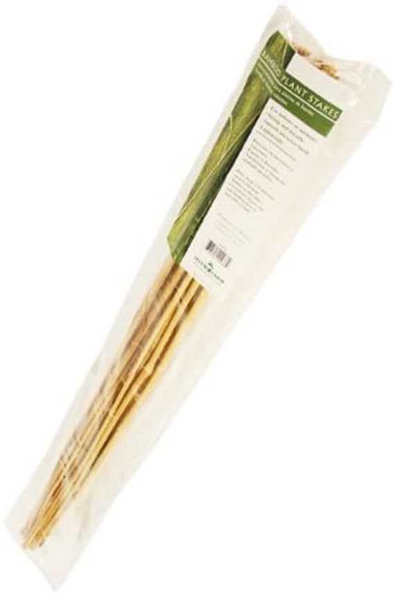 Pack of 25 Bamboo Stake Tan-New HGBB6 6 Natural 