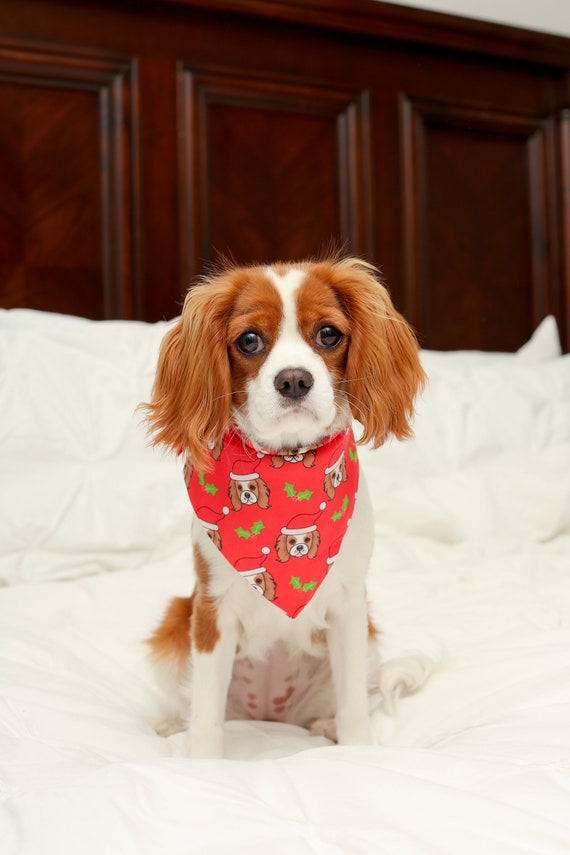 Christmas Themed King Charles Spaniel Pet Bandana Holiday Dog Bandana Cute Fashion For Your Favorite Dog - 