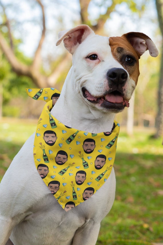 drake dog bandana