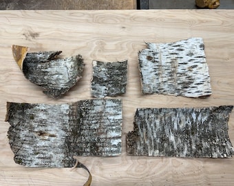 Mixed box of White birch bark .