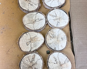 White birch rounds