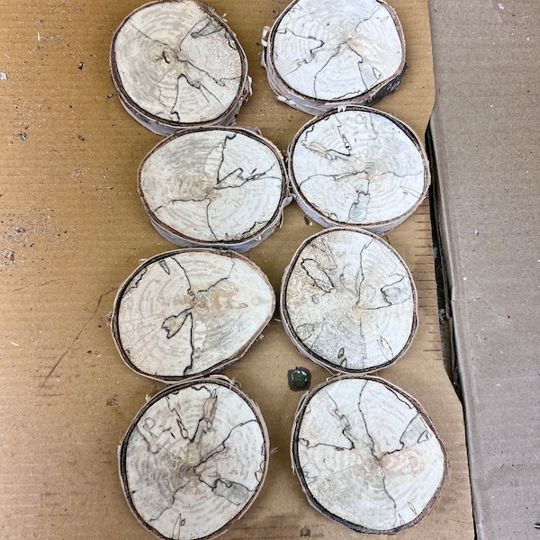 White birch rounds