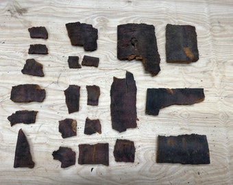 White birch bark