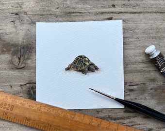 Miniature tortoise watercolour painting.