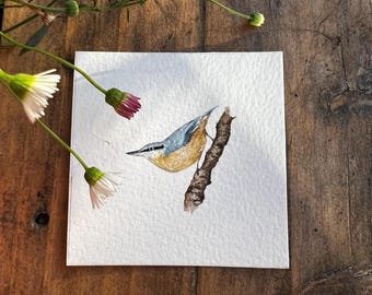 Custom miniature British bird watercolour painting.