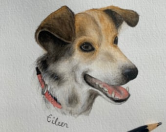 Custom Pet portraits. Watercolour painting