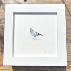 Original miniature watercolour painting of a pigeon