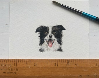 Miniature dog pet portrait watercolour painting.