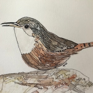 Bird On a Rock