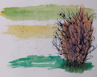 Roots
