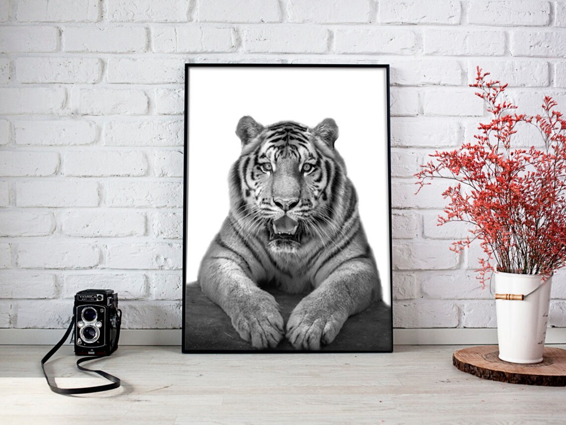 Black and White Tiger Print Digital Wall art poster Black Etsy