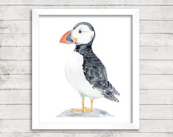 Seal Island Puffin Watercolor Print. Mussel Art. Watercolor Art. Ocean Art Print. Coastal Art. Puffin Art. Beach House Print.