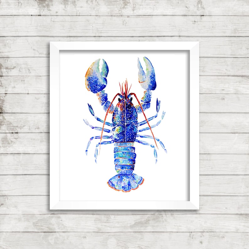 May include: A blue and red watercolor painting of a lobster on a white background.