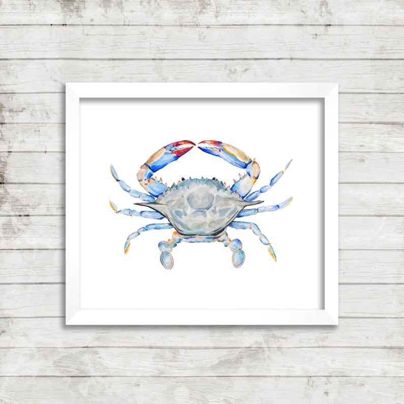 May include: A watercolor painting of a blue crab with red and yellow accents. The crab is facing the viewer with its claws raised.