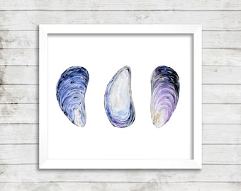 Three New England Mussels Watercolor Print. Mussel Art. Watercolor Art. Ocean Art Print. Coastal Art. Shell Art. Beach House Print.