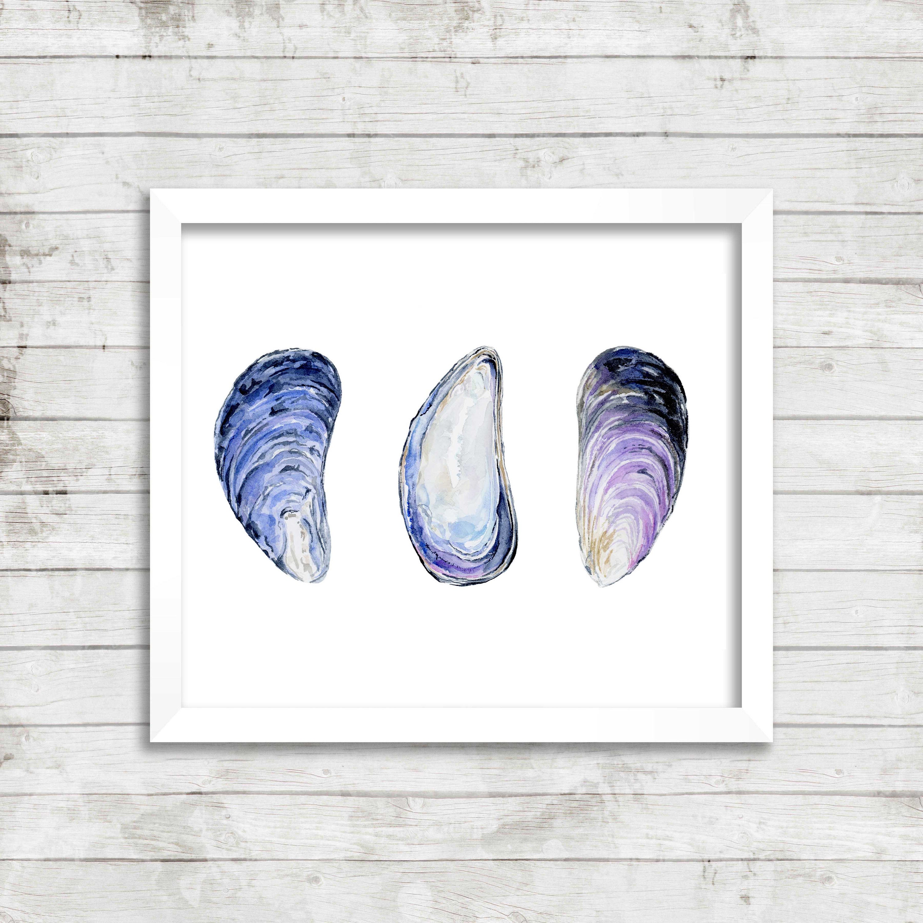 Three New England Mussels Watercolor Print. Mussel Art. Watercolor Art. Ocean Art Print. Coastal Art. Shell Art. Beach House Print.