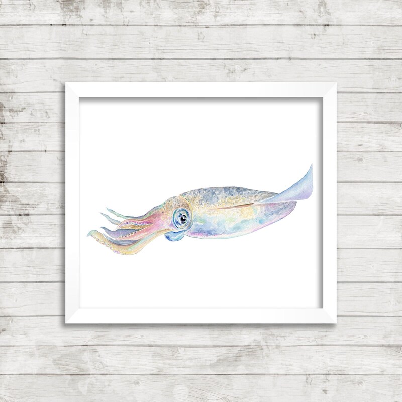 Squid Art - Etsy