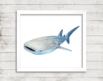 Whale Shark Watercolor Print, Whale Shark Art, Whale Shark, Watercolor Print, Watercolor Art, Nautical Decor, Nautical Art