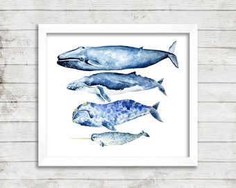 Whale Watercolor Print. Whale Art. Narwhal Print. Coastal Decor. Nautical Decor. Nursery Art. Kids Room Art. Coastal Print.